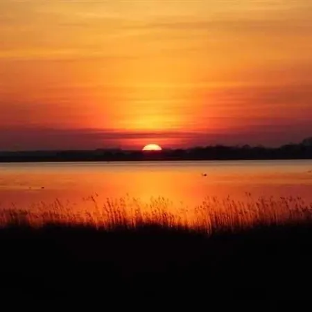 Seeschwalbe * Vieregge