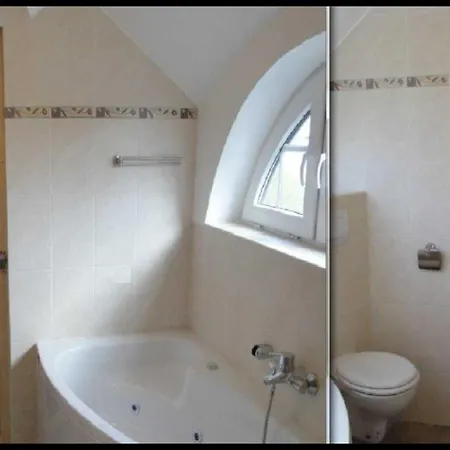 Seeschwalbe * Vieregge