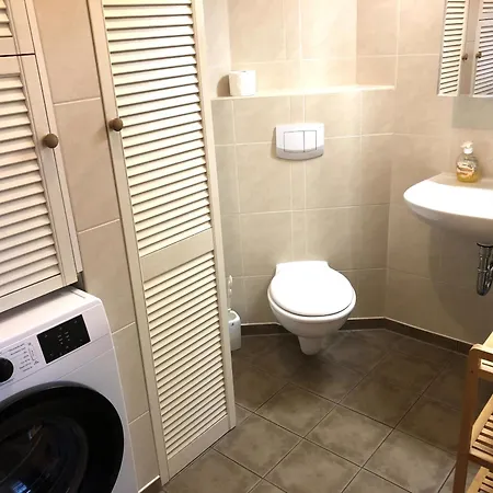 Seeschwalbe Vieregge